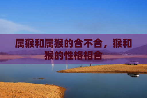属猴和属猴的合不合，猴和猴的性格相合