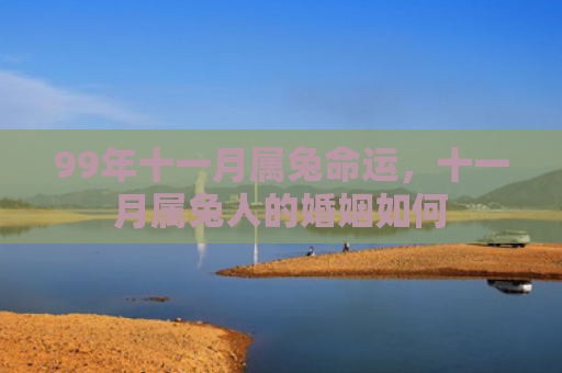 99年十一月属兔命运，十一月属兔人的婚姻如何