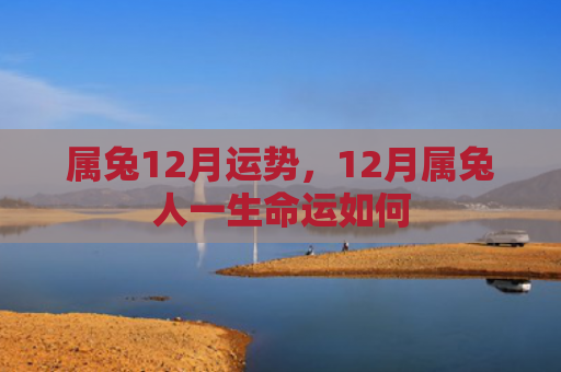 属兔12月运势，12月属兔人一生命运如何