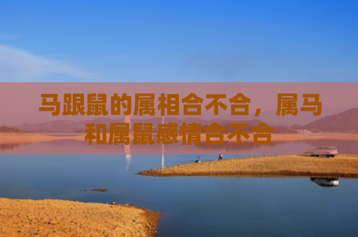 马跟鼠的属相合不合，属马和属鼠感情合不合