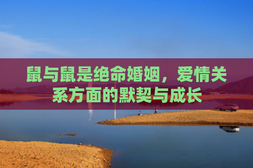 鼠与鼠是绝命婚姻，爱情关系方面的默契与成长