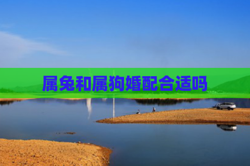属兔和属狗婚配合适吗