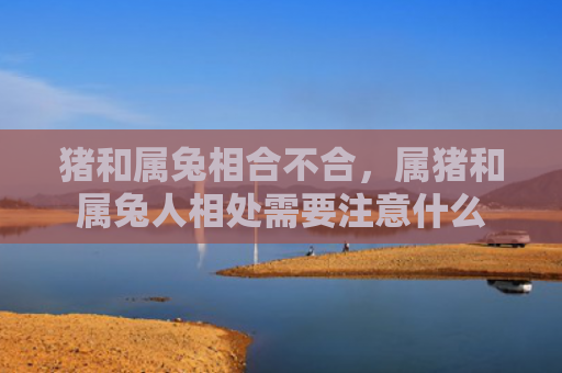 猪和属兔相合不合，属猪和属兔人相处需要注意什么