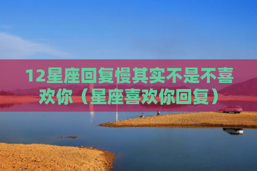 12星座回复慢其实不是不喜欢你（星座喜欢你回复）