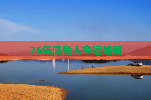 75年属兔人命运如何