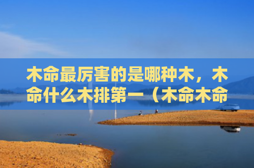 木命最厉害的是哪种木，木命什么木排第一（木命木命最厉害的是哪种木木排）