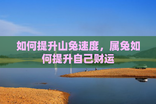如何提升山兔速度，属兔如何提升自己财运