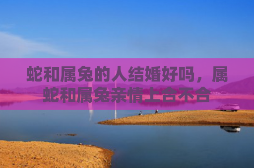 蛇和属兔的人结婚好吗，属蛇和属兔亲情上合不合
