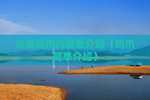 东涛鸡爪的简单介绍（鸡爪简单介绍）
