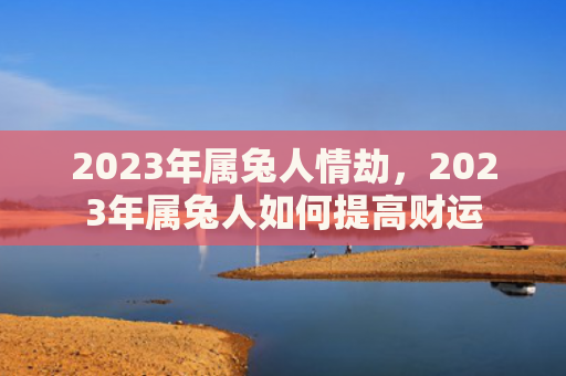 2023年属兔人情劫，2023年属兔人如何提高财运