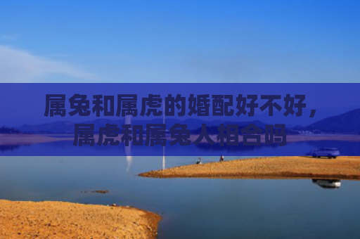 属兔和属虎的婚配好不好，属虎和属兔人相合吗