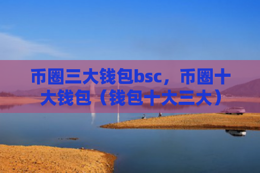 币圈三大钱包bsc，币圈十大钱包（钱包十大三大）