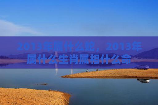 2013年属什么蛇，2013年属什么生肖属相什么命