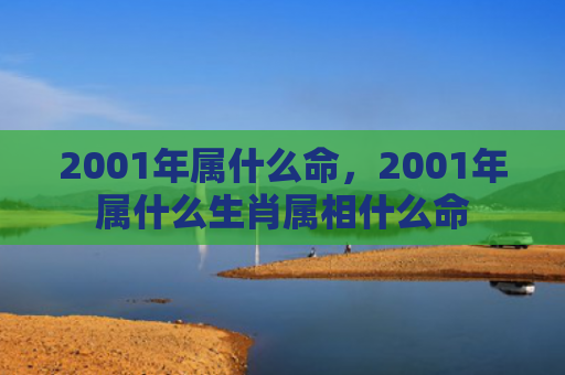 2001年属什么命，2001年属什么生肖属相什么命