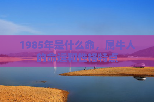 1985年是什么命，属牛人的命运和性格特点