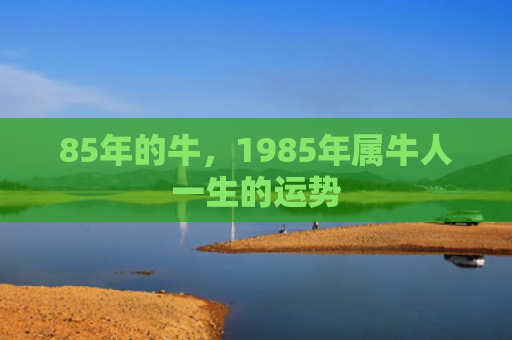 85年的牛，1985年属牛人一生的运势