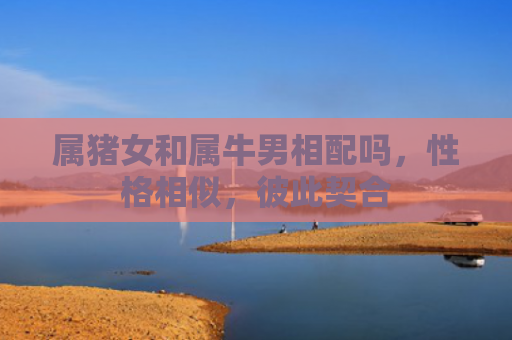 属猪女和属牛男相配吗，性格相似，彼此契合