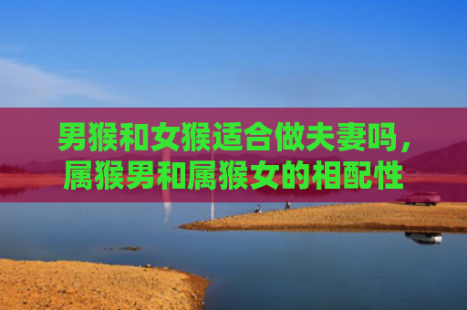 男猴和女猴适合做夫妻吗，属猴男和属猴女的相配性