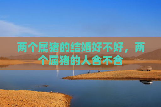 两个属猪的结婚好不好，两个属猪的人合不合