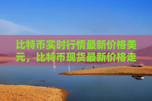 比特币实时行情最新价格美元，比特币现货最新价格走势图美元（比特美元价格）