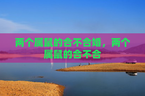 两个属鼠的合不合婚，两个属鼠的合不合