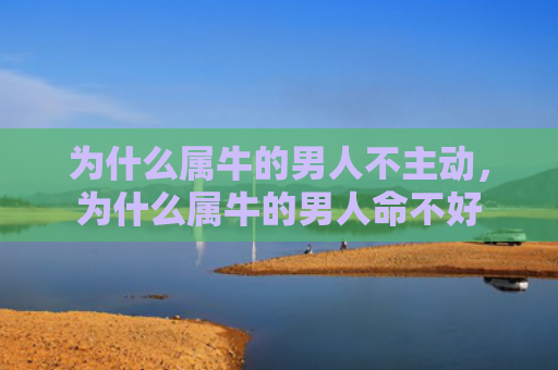 为什么属牛的男人不主动，为什么属牛的男人命不好