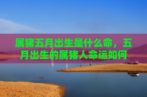 属猪五月出生是什么命，五月出生的属猪人命运如何