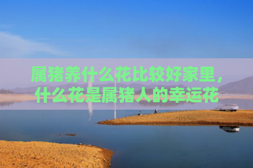 属猪养什么花比较好家里，什么花是属猪人的幸运花