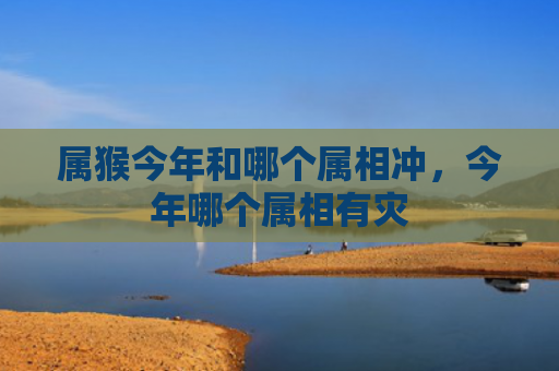 属猴今年和哪个属相冲，今年哪个属相有灾