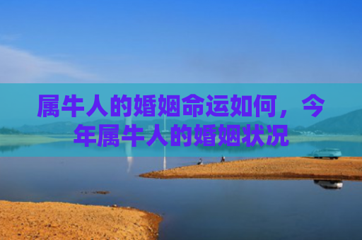 属牛人的婚姻命运如何，今年属牛人的婚姻状况