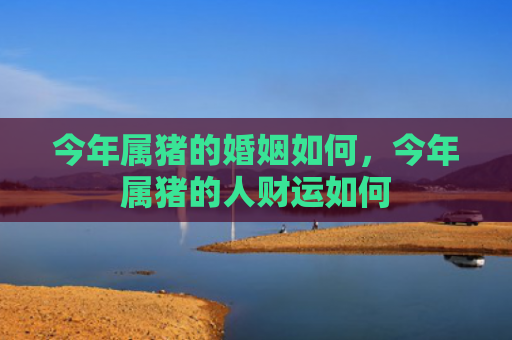 今年属猪的婚姻如何，今年属猪的人财运如何