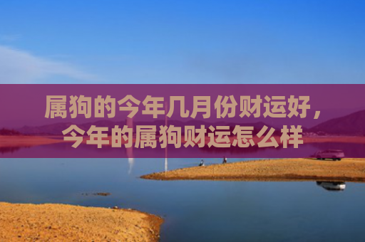 属狗的今年几月份财运好，今年的属狗财运怎么样