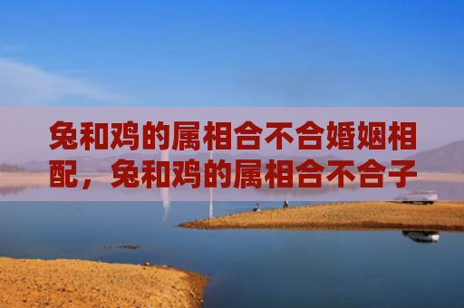 兔和鸡的属相合不合婚姻相配，兔和鸡的属相合不合子女