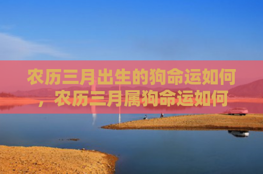 农历三月出生的狗命运如何，农历三月属狗命运如何