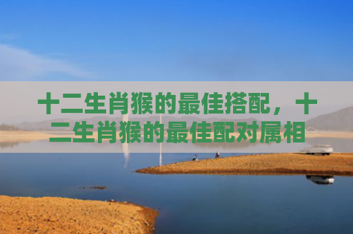 十二生肖猴的最佳搭配，十二生肖猴的最佳配对属相