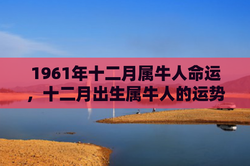 1961年十二月属牛人命运，十二月出生属牛人的运势如何