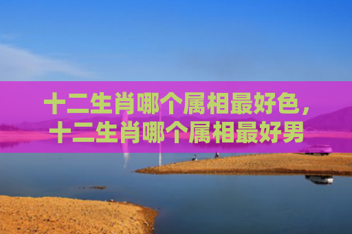 十二生肖哪个属相最好色，十二生肖哪个属相最好男