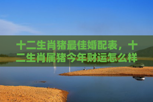 十二生肖猪最佳婚配表，十二生肖属猪今年财运怎么样