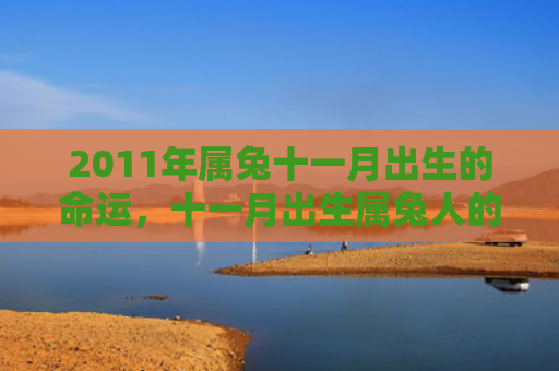 2011年属兔十一月出生的命运，十一月出生属兔人的运势怎么样