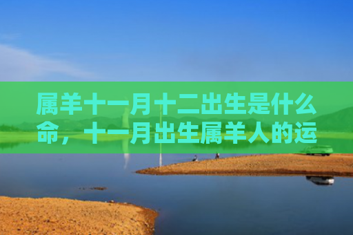 属羊十一月十二出生是什么命，十一月出生属羊人的运势和财运