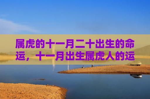 属虎的十一月二十出生的命运，十一月出生属虎人的运势怎么样