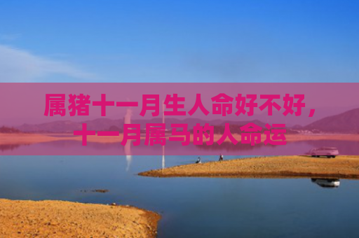 属猪十一月生人命好不好，十一月属马的人命运