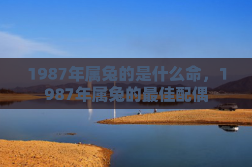 1987年属兔的是什么命，1987年属兔的最佳配偶
