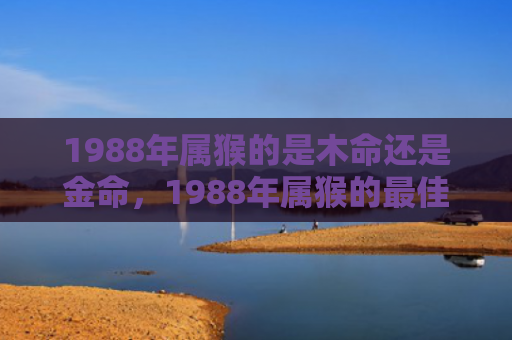 1988年属猴的是木命还是金命，1988年属猴的最佳配偶