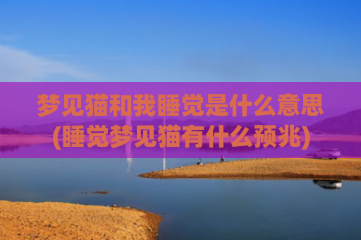梦见猫和我睡觉是什么意思(睡觉梦见猫有什么预兆)