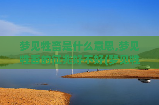 梦见牲畜是什么意思,梦见牲畜的征兆好不好(梦见牲畜是什么意思)