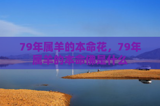 79年属羊的本命花，79年属羊的本命佛是什么