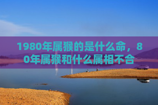 1980年属猴的是什么命，80年属猴和什么属相不合