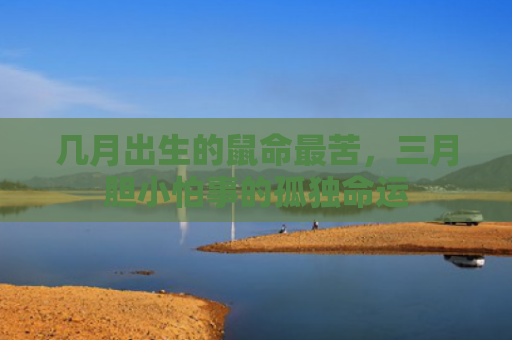 几月出生的鼠命最苦，三月胆小怕事的孤独命运