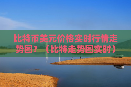 比特币美元价格实时行情走势图？（比特走势图实时）